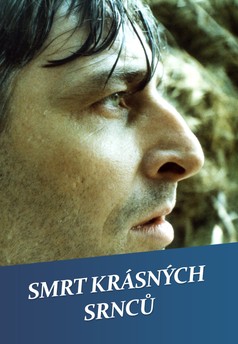Smrt krásných srnců