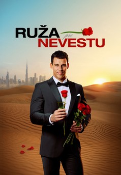 Ruža pre nevestu