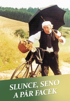 Slunce, seno a pár facek