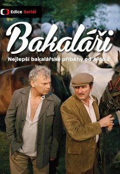 Obrázek
