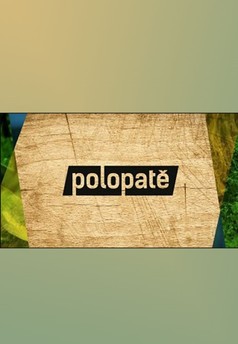Polopatě