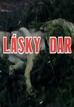 Lásky dar