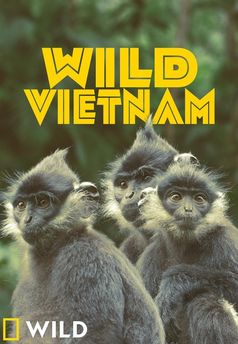 Divoký Vietnam