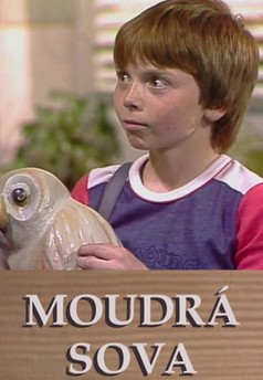 Moudrá sova