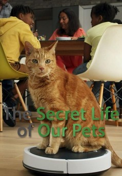 The Secret Life of Our Pets