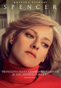 Princezna D