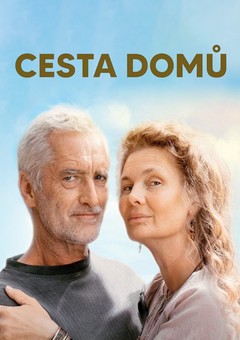 Cesta domů