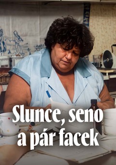 Slunce, seno a pár facek