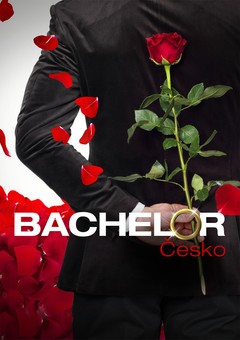 Bachelor