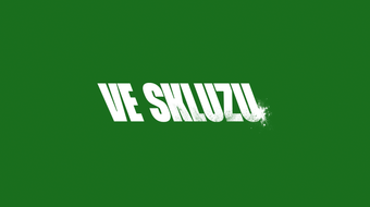 Ve skluzu