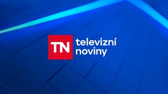 Televizní noviny