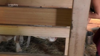 26. díl
