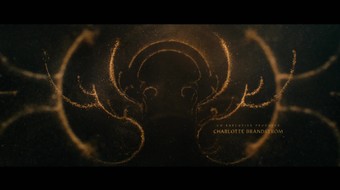 8. díl - Stín a plamen