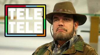 261. díl