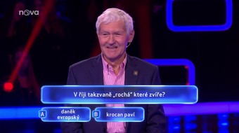 4. díl