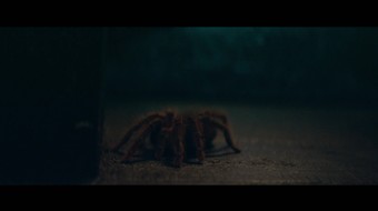 2. díl - Bojuj se stříbrem