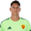 Pierluigi Gollini