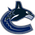 Vancouver Canucks