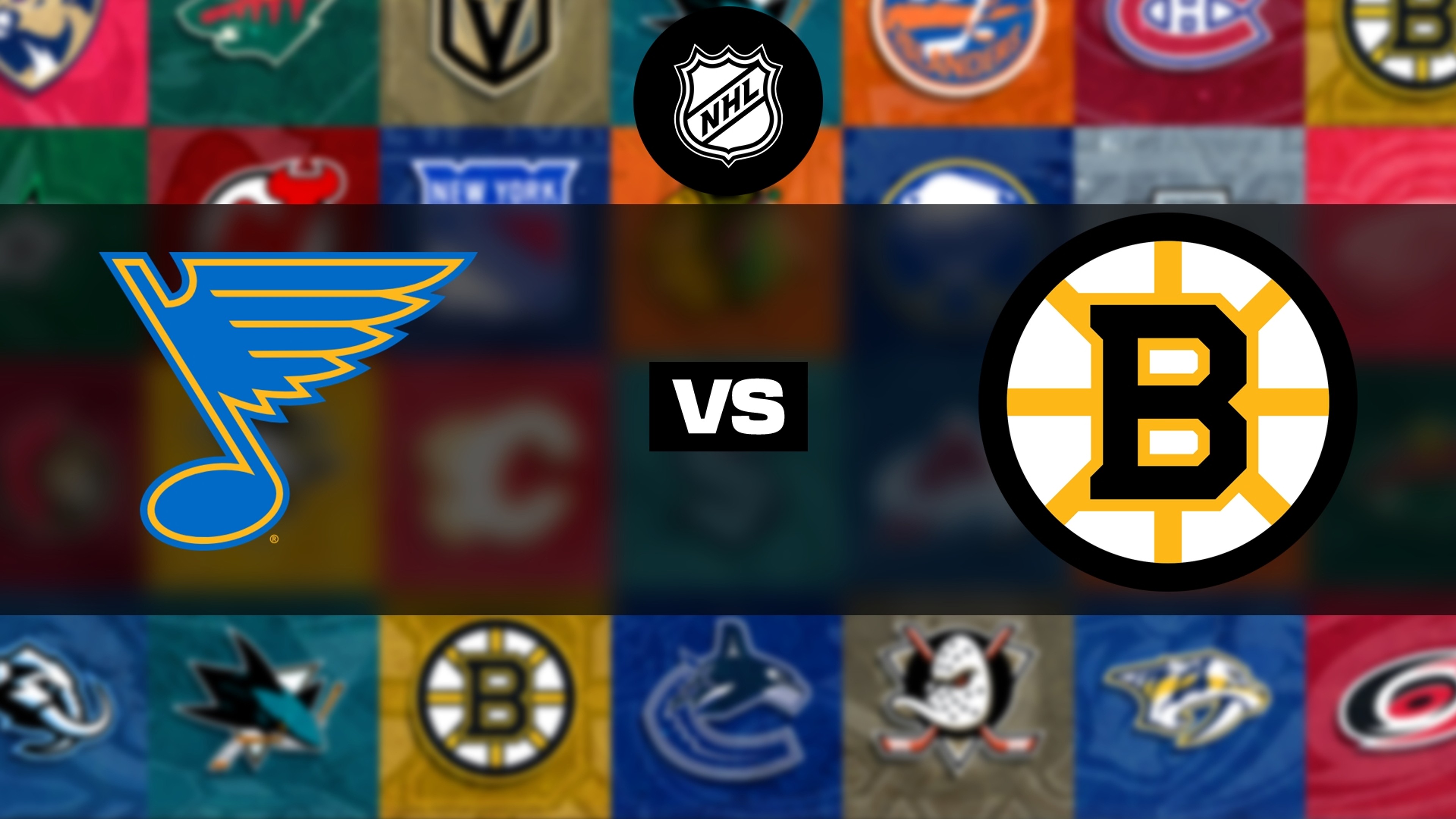 Boston Bruins