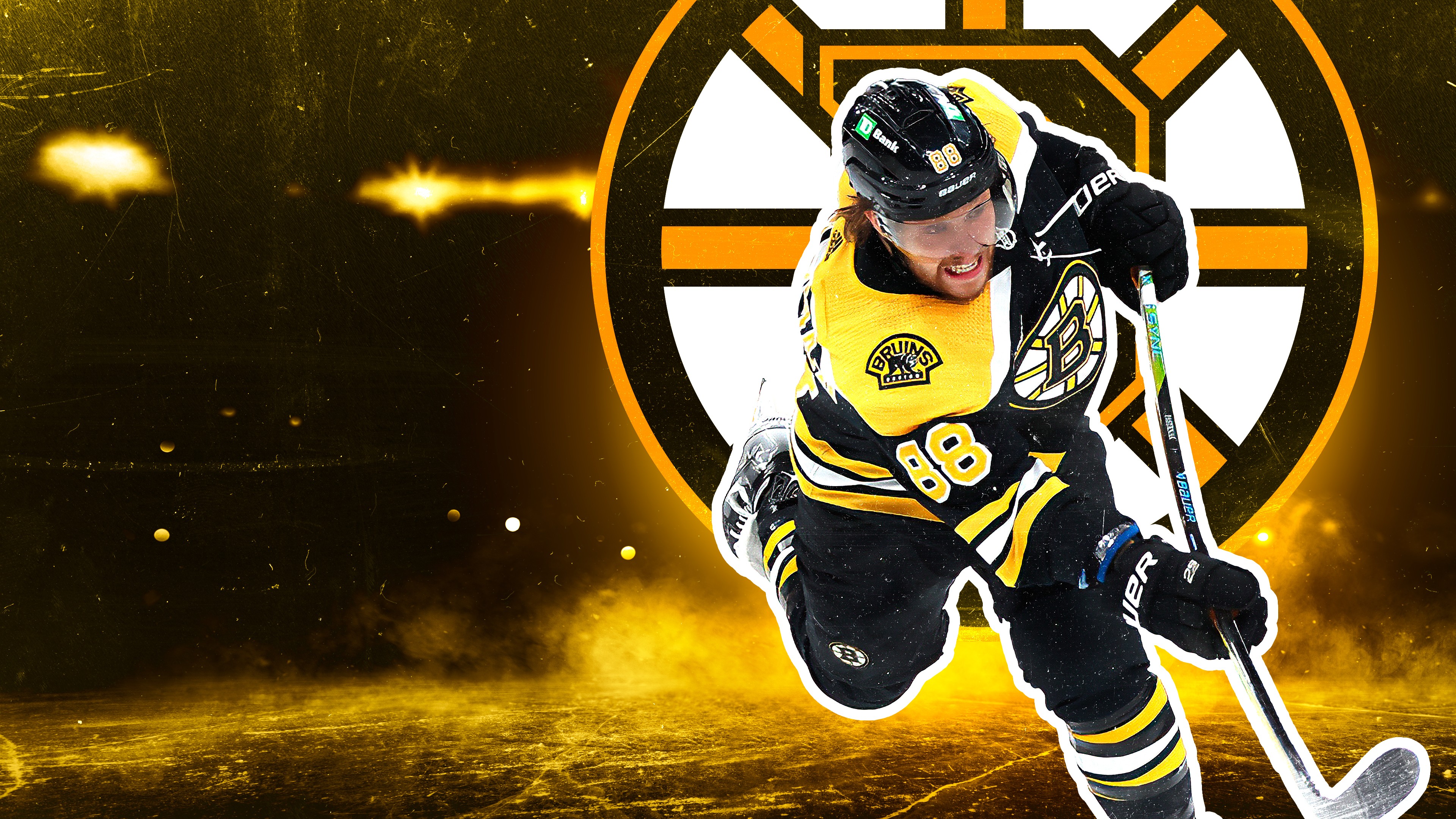 Boston Bruins