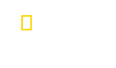 Nat Geo Wild HD