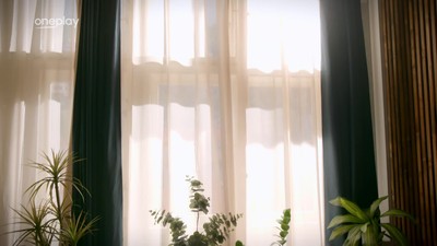 1253. díl - Nejdůležitější host