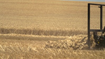 7. díl - Farmáři na víkend