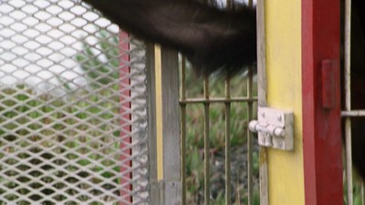 12. díl - Přátelé navěky