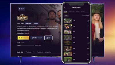 Vyhledávání a přehrávání