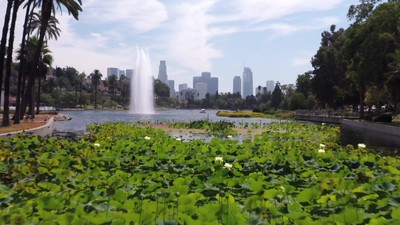 10. díl - Narozeniny a špatné zprávy