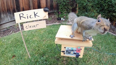 3. díl - Útok veverek