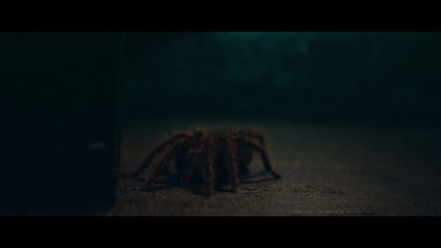 2. díl - Bojuj se stříbrem