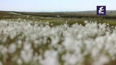 6. díl - Poloplná sklenice