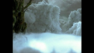 1. díl - Fazole a divoká vejce