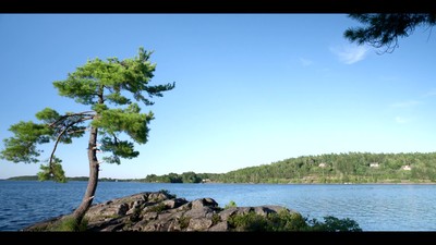 1. díl - Nové začátky