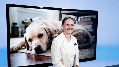 Bez čipu a registrace hrozí majitelům psů vysoké pokuty, upozorňuje veterinářka