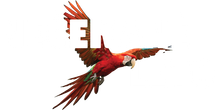 Nečekané léto