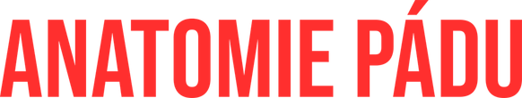 Anatomie pádu