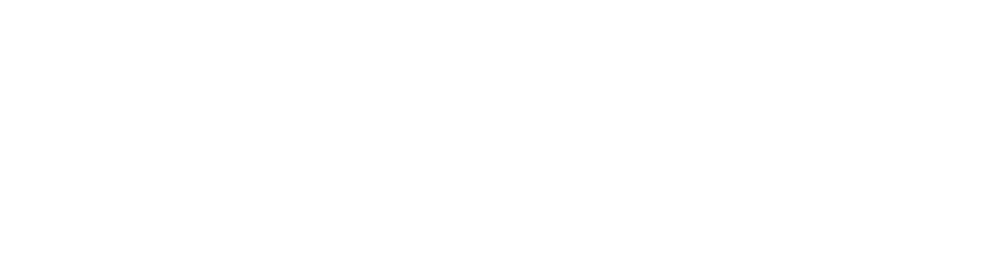 Rychlý jako vítr 2 - Vítězství