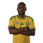 Statistiky hráče